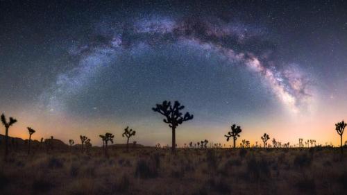银河下的约书亚树，加利福尼亚州，美国 (© Chao Zhang/Getty Images) Bing Everyday Wallpaper 2025-04-21
/tmp/UploadBetaBHfC0o [Bing Everyday Wall Paper 2025-04-21] url = http://www.bing.com/th?id=OHR.JoshuaStars_ZH-CN1375098210_1920x1080.jpg

File Size (KB): 320.6 KB
Last Modified: April 21 2025 00:00:02

