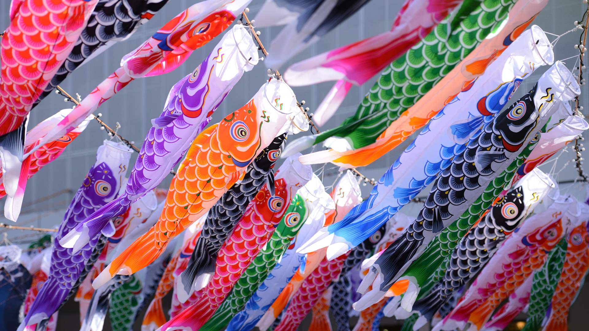 東京タワー 333 匹の鯉のぼり, 東京 (© Takashi Aoyama/寄稿者/Getty Images) Bing Everyday Wallpaper 2025-05-05, 4m5ZQe [Bing Everyday Wall Paper 2025-05-05] url = http://www.bing.com/th?id=OHR.Koinobori2025_JA-JP0438864566_1920x1080.jpg