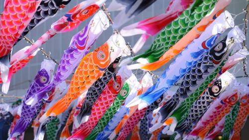 東京タワー 333 匹の鯉のぼり, 東京 (© Takashi Aoyama/寄稿者/Getty Images) Bing Everyday Wallpaper 2025-05-05
/tmp/UploadBeta4m5ZQe [Bing Everyday Wall Paper 2025-05-05] url = http://www.bing.com/th?id=OHR.Koinobori2025_JA-JP0438864566_1920x1080.jpg

File Size (KB): 308.44 KB
Last Modified: May 05 2025 00:00:03
