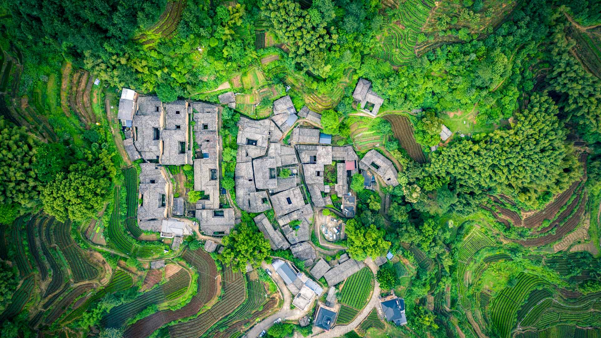 楊家堂村の茶園, 中国 浙江省 (© feng xu/Getty Images) Bing Everyday Wallpaper 2025-05-21, DYyAHp [Bing Everyday Wall Paper 2025-05-21] url = http://www.bing.com/th?id=OHR.SongyangTeaGarden_JA-JP8102249895_1920x1080.jpg