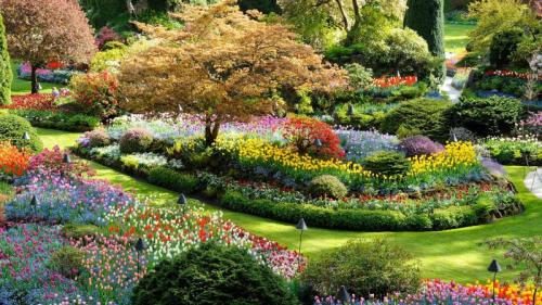 布伦特伍德湾的布查特花园，不列颠哥伦比亚省，加拿大 (© 2009fotofriends/Shutterstock) Bing Everyday Wallpaper 2025-05-25
/tmp/UploadBetaUtdgFX [Bing Everyday Wall Paper 2025-05-25] url = http://www.bing.com/th?id=OHR.ButchartFlowers_ZH-CN6692930571_1920x1080.jpg

File Size (KB): 309.52 KB
Last Modified: May 25 2025 00:00:02
