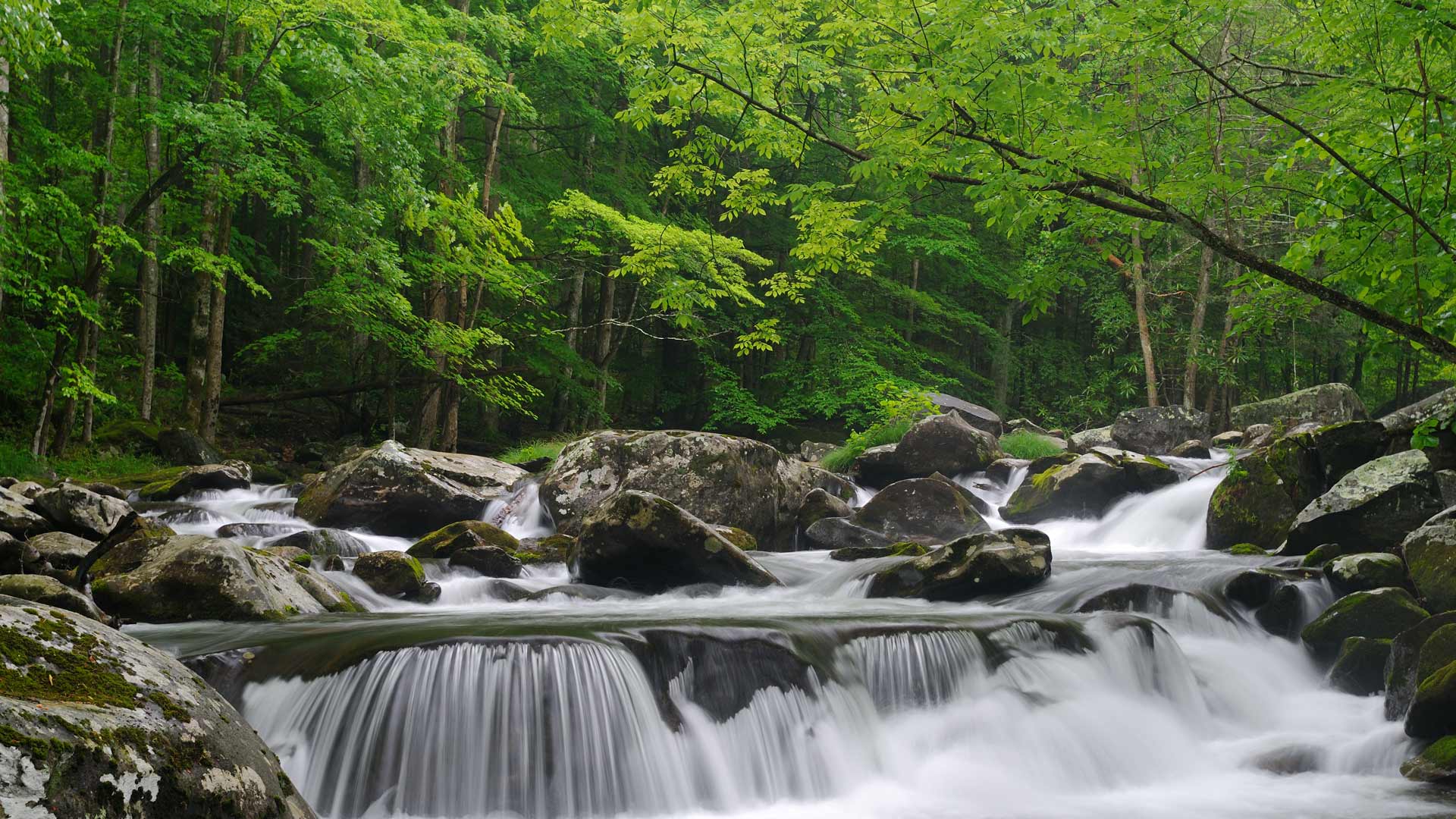 小鸽子河，大雾山国家公园，田纳西州, 美国 (© GreenStock/Getty Images) Bing Everyday Wallpaper 2025-05-30, PI32W9 [Bing Everyday Wall Paper 2025-05-30] url = http://www.bing.com/th?id=OHR.LittlePigeonRiver_ZH-CN6554251943_1920x1080.jpg