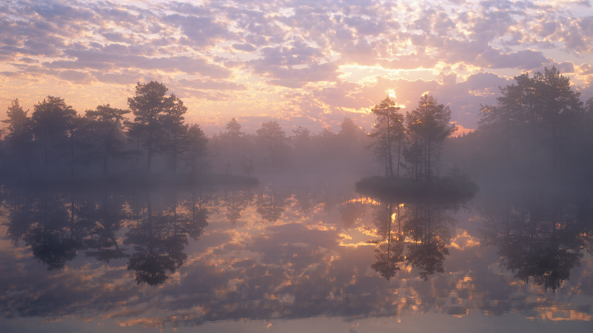 クヌートイスモッセン自然保護区, スウェーデン (© Sven Halling/DEEPOL/plainpicture) Bing Everyday Wallpaper 2025-05-31, hTAvcw [Bing Everyday Wall Paper 2025-05-31] url = http://www.bing.com/th?id=OHR.SwedenReserve_JA-JP5195008647_1920x1080.jpg
