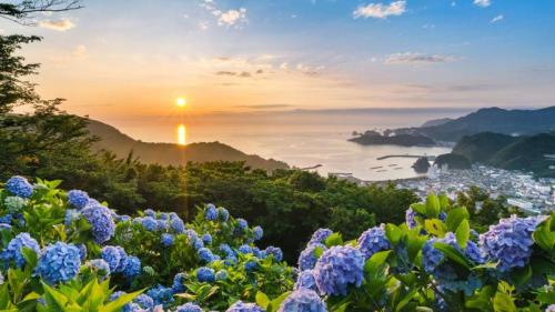 あじさいの丘, 静岡県 賀茂郡 (© Tommy Tsutsui/Getty Images) Bing Everyday Wallpaper 2025-06-11
/tmp/UploadBeta6MqxJP [Bing Everyday Wall Paper 2025-06-11] url = http://www.bing.com/th?id=OHR.Hydrangea2025_JA-JP6293958044_1920x1080.jpg

File Size (KB): 310.52 KB
Last Modified: June 11 2025 00:00:02

