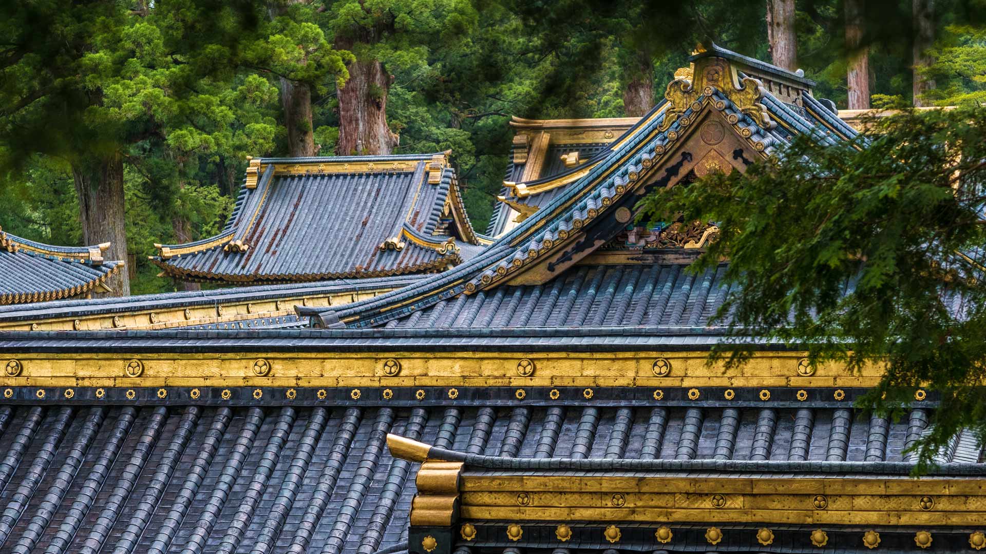 日光東照宮, 栃木県 日光市 (© Pavel Nesvadba/shutterstock) Bing Everyday Wallpaper 2025-06-14, C39Cn8 [Bing Everyday Wall Paper 2025-06-14] url = http://www.bing.com/th?id=OHR.NikkoToshoguShrine_JA-JP2939521159_1920x1080.jpg
