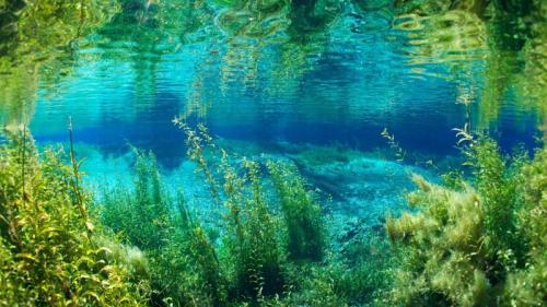 彩虹泉州立公园的彩虹河，佛罗里达州，美国 (© Michel Roggo/Minden Pictures) Bing Everyday Wallpaper 2025-07-03
/tmp/UploadBetaqJ0RRK [Bing Everyday Wall Paper 2025-07-03] url = http://www.bing.com/th?id=OHR.RainbowRiver_ZH-CN5320095849_1920x1080.jpg

File Size (KB): 322.32 KB
Last Modified: July 03 2025 00:00:02
