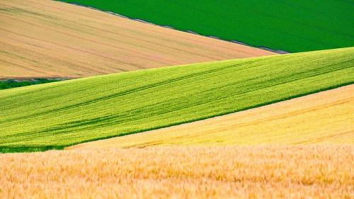 パッチワークの路, 北海道 美瑛町 (© DoctorEgg/Getty Images) Bing Everyday Wallpaper 2025-07-08
/tmp/UploadBetavbMKvf [Bing Everyday Wall Paper 2025-07-08] url = http://www.bing.com/th?id=OHR.WheatFields2025_JA-JP0694604988_1920x1080.jpg

File Size (KB): 319.6 KB
Last Modified: July 08 2025 00:00:03
