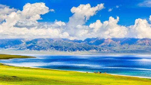 夏季的赛里木湖，博尔塔拉蒙古自治州博乐县, 中国新疆维吾尔自治区 (© Feng Wei Photography/Getty Images) Bing Everyday Wallpaper 2025-07-22
/tmp/UploadBetaOYxe6g [Bing Everyday Wall Paper 2025-07-22] url = http://www.bing.com/th?id=OHR.GreatHeatY25_ZH-CN8252122347_1920x1080.jpg

File Size (KB): 297.37 KB
Last Modified: July 22 2025 00:00:02
