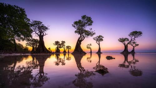 黄昏时的红树林，瓦拉基里海滩，松巴岛，印度尼西亚 (© Boonchet Ch./Getty Images) Bing Everyday Wallpaper 2025-07-26
/tmp/UploadBetapYn3GP [Bing Everyday Wall Paper 2025-07-26] url = http://www.bing.com/th?id=OHR.MangroveTwilight_ZH-CN3596666263_1920x1080.jpg

File Size (KB): 308.37 KB
Last Modified: July 26 2025 00:00:02
