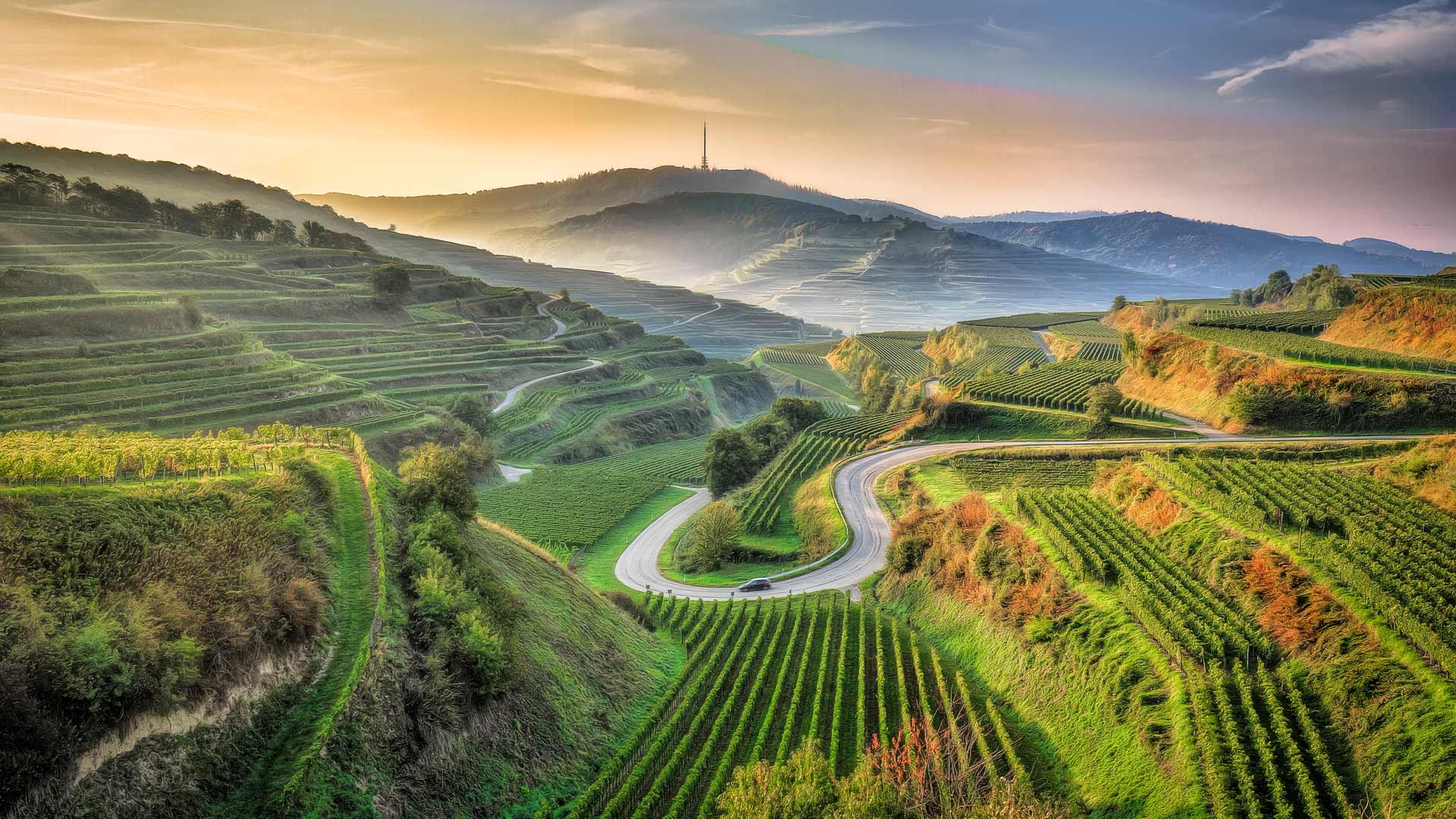 Ansicht eines landwirtschaftlichen Feldes, Kaiserstuhl, Baden-Württemberg (© EyeEM Mobile GmbH/Getty Images) Bing Everyday Wallpaper 2025-08-22, 7vdvxx [Bing Everyday Wall Paper 2025-08-22] url = http://www.bing.com/th?id=OHR.FieldKaiserstuhl_DE-DE8624743800_1920x1080.jpg