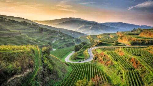 Ansicht eines landwirtschaftlichen Feldes, Kaiserstuhl, Baden-Württemberg (© EyeEM Mobile GmbH/Getty Images) Bing Everyday Wallpaper 2025-08-22
/tmp/UploadBeta7vdvxx [Bing Everyday Wall Paper 2025-08-22] url = http://www.bing.com/th?id=OHR.FieldKaiserstuhl_DE-DE8624743800_1920x1080.jpg

File Size (KB): 321.17 KB
Last Modified: August 22 2025 00:00:03
