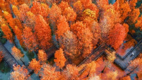航拍中国江苏省常州翠竹公园 (© Xu Changyu/Getty images) Bing Everyday Wallpaper 2025-09-23
/tmp/UploadBetaDeP885 [Bing Everyday Wall Paper 2025-09-23] url = http://www.bing.com/th?id=OHR.AutumnalEquinoxY25_ZH-CN5692548297_1920x1080.jpg

File Size (KB): 312.05 KB
Last Modified: September 23 2025 00:00:02
