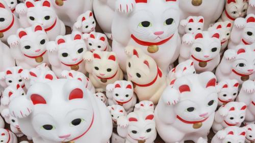 豪徳寺の招き猫, 東京都 (© Maria S./Alamy Stock Photo) Bing Everyday Wallpaper 2025-09-29
/tmp/UploadBetaJksvp0 [Bing Everyday Wall Paper 2025-09-29] url = http://www.bing.com/th?id=OHR.ManekiNeko_JA-JP6063646197_1920x1080.jpg

File Size (KB): 318.66 KB
Last Modified: September 29 2025 00:00:02
