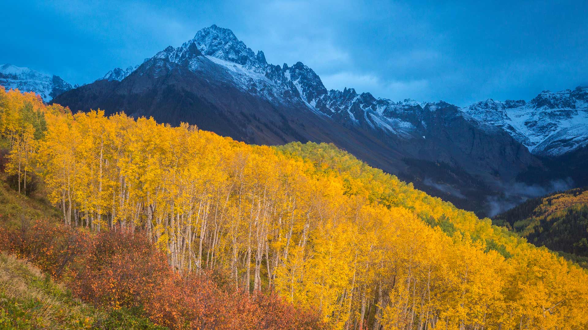 里奇韦附近斯内弗尔斯山脚下的秋色, 科罗拉多州, 美国 (© Grant Ordelheide/TANDEM Stills + Motion) Bing Everyday Wallpaper 2025-10-07, auGtbD [Bing Everyday Wall Paper 2025-10-07] url = http://www.bing.com/th?id=OHR.RidgwayAspens_ZH-CN8735375502_1920x1080.jpg