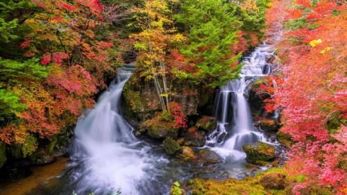 竜頭の滝, 栃木県 日光市 (© kecl/Getty images) Bing Everyday Wallpaper 2025-10-08
/tmp/UploadBetawvnaSw [Bing Everyday Wall Paper 2025-10-08] url = http://www.bing.com/th?id=OHR.Ryuzufalls2025_JA-JP6418303608_1920x1080.jpg

File Size (KB): 303.02 KB
Last Modified: October 08 2025 00:00:04

