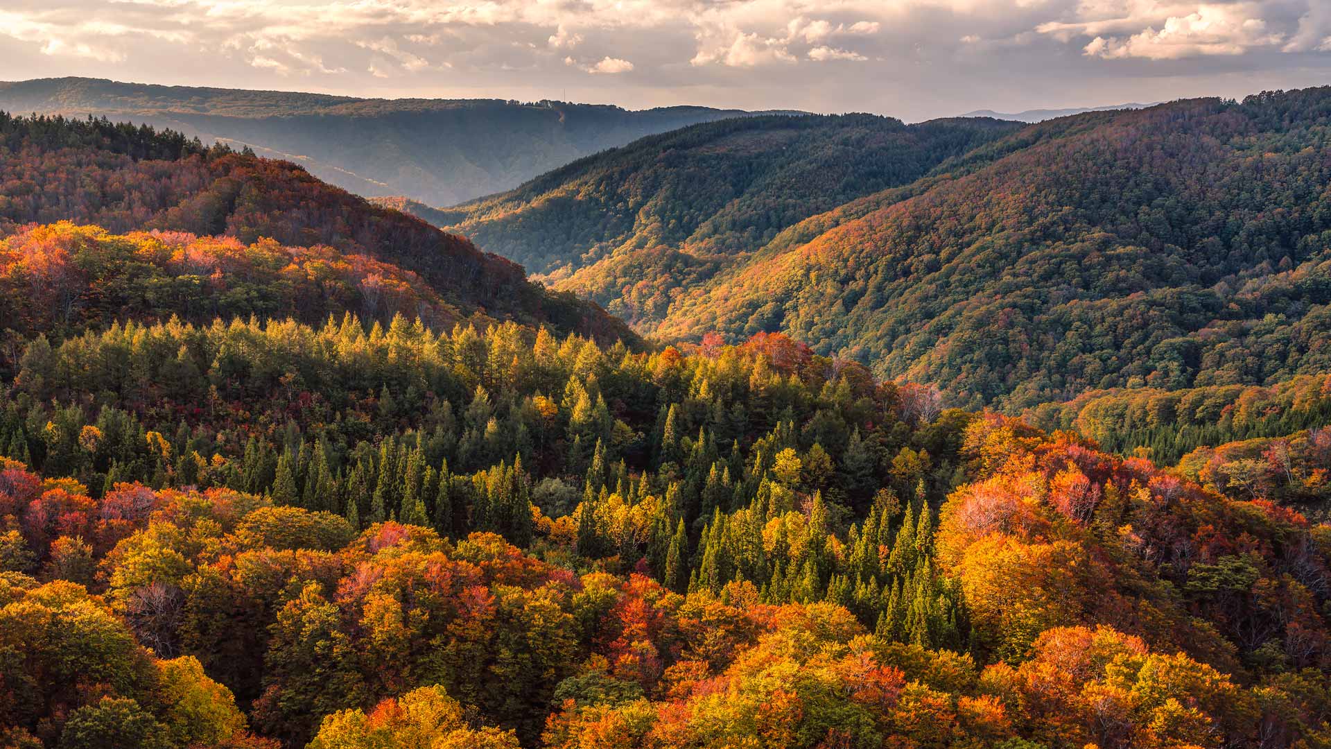八甲田山の紅葉, 青森県青森市 (© Mekdet/Getty images) Bing Everyday Wallpaper 2025-10-23, MMAdcj [Bing Everyday Wall Paper 2025-10-23] url = http://www.bing.com/th?id=OHR.AomoriAutumn2025_JA-JP3668853549_1920x1080.jpg