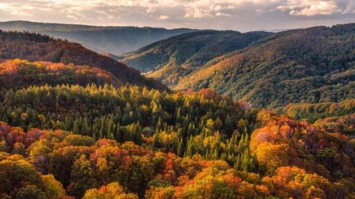 八甲田山の紅葉, 青森県青森市 (© Mekdet/Getty images) Bing Everyday Wallpaper 2025-10-23
/tmp/UploadBetaMMAdcj [Bing Everyday Wall Paper 2025-10-23] url = http://www.bing.com/th?id=OHR.AomoriAutumn2025_JA-JP3668853549_1920x1080.jpg

File Size (KB): 315.17 KB
Last Modified: October 23 2025 00:00:03
