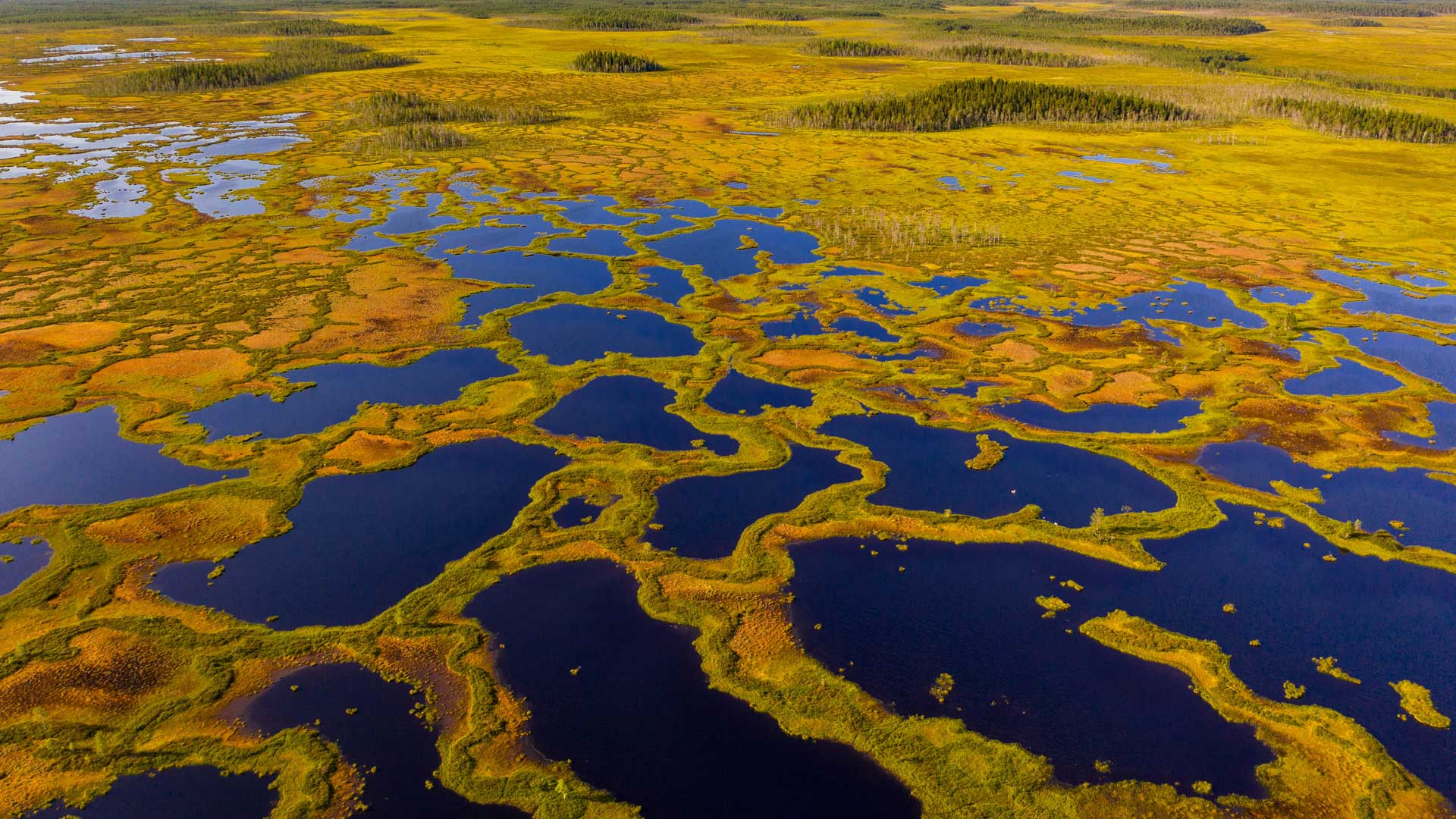 马蒂莫阿帕沼泽保护区泥炭地鸟瞰图, 芬兰 (© romikatarina/Shutterstock) Bing Everyday Wallpaper 2025-10-25, 1Zw3Jg [Bing Everyday Wall Paper 2025-10-25] url = http://www.bing.com/th?id=OHR.MartimoaapaFinland_ZH-CN1066271356_1920x1080.jpg