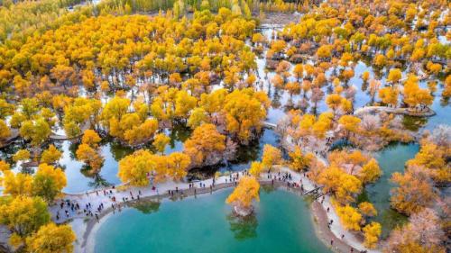 被胡杨树围绕着的湖, 金塔县, 酒泉, 甘肃, 中国 (© Feng Wei Photography/Getty images) Bing Everyday Wallpaper 2025-10-27
/tmp/UploadBetaJBVeZQ [Bing Everyday Wall Paper 2025-10-27] url = http://www.bing.com/th?id=OHR.AutumnColorY25_ZH-CN1551135398_1920x1080.jpg

File Size (KB): 299.41 KB
Last Modified: October 27 2025 00:00:02
