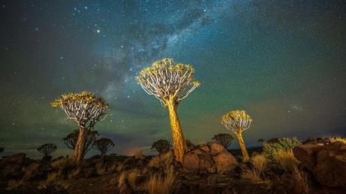 夜晚的箭袋树与银河，基特曼斯胡普，纳米比亚 (© Wim van den Heever/naturepl.com) Bing Everyday Wallpaper 2025-11-13
/tmp/UploadBetaT9OqFk [Bing Everyday Wall Paper 2025-11-13] url = http://www.bing.com/th?id=OHR.AloeDichotoma_ZH-CN4432972312_1920x1080.jpg

File Size (KB): 303.89 KB
Last Modified: November 13 2025 00:00:02

