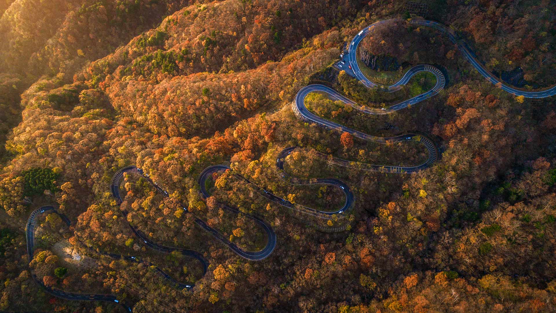 秋天的伊吕波坂，日光市，栃木县，日本 (© oneinchpunch/Shutterstock) Bing Everyday Wallpaper 2025-11-15, RArH5n [Bing Everyday Wall Paper 2025-11-15] url = http://www.bing.com/th?id=OHR.IrohazakaAutumn_ZH-CN8146412245_1920x1080.jpg