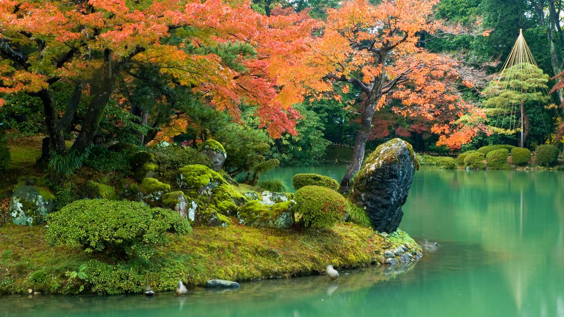 兼六園, 石川県 金沢市 (© Darby Sawchuk/Alamy) Bing Everyday Wallpaper 2025-11-22, SB0bQq [Bing Everyday Wall Paper 2025-11-22] url = http://www.bing.com/th?id=OHR.Kenrokuen2025_JA-JP5771782879_1920x1080.jpg