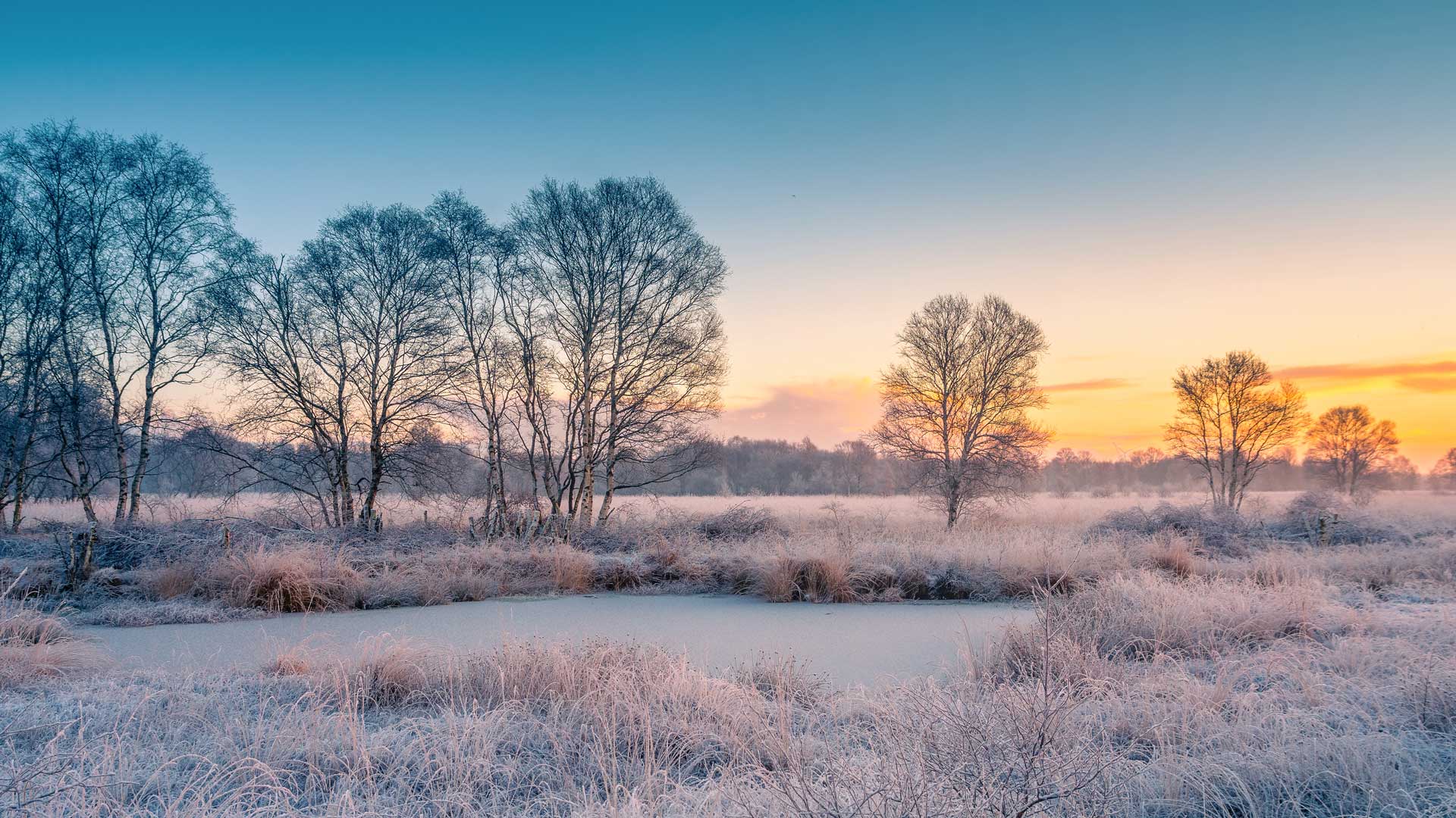 Schneebedecktes Feld bei Sonnenuntergang, Ostfriesland, Niedersachsen (© photo art/500px/Getty Images) Bing Everyday Wallpaper 2025-12-18, Gcg9MM [Bing Everyday Wall Paper 2025-12-18] url = http://www.bing.com/th?id=OHR.OstfrieslandWinter_DE-DE7440932341_1920x1080.jpg