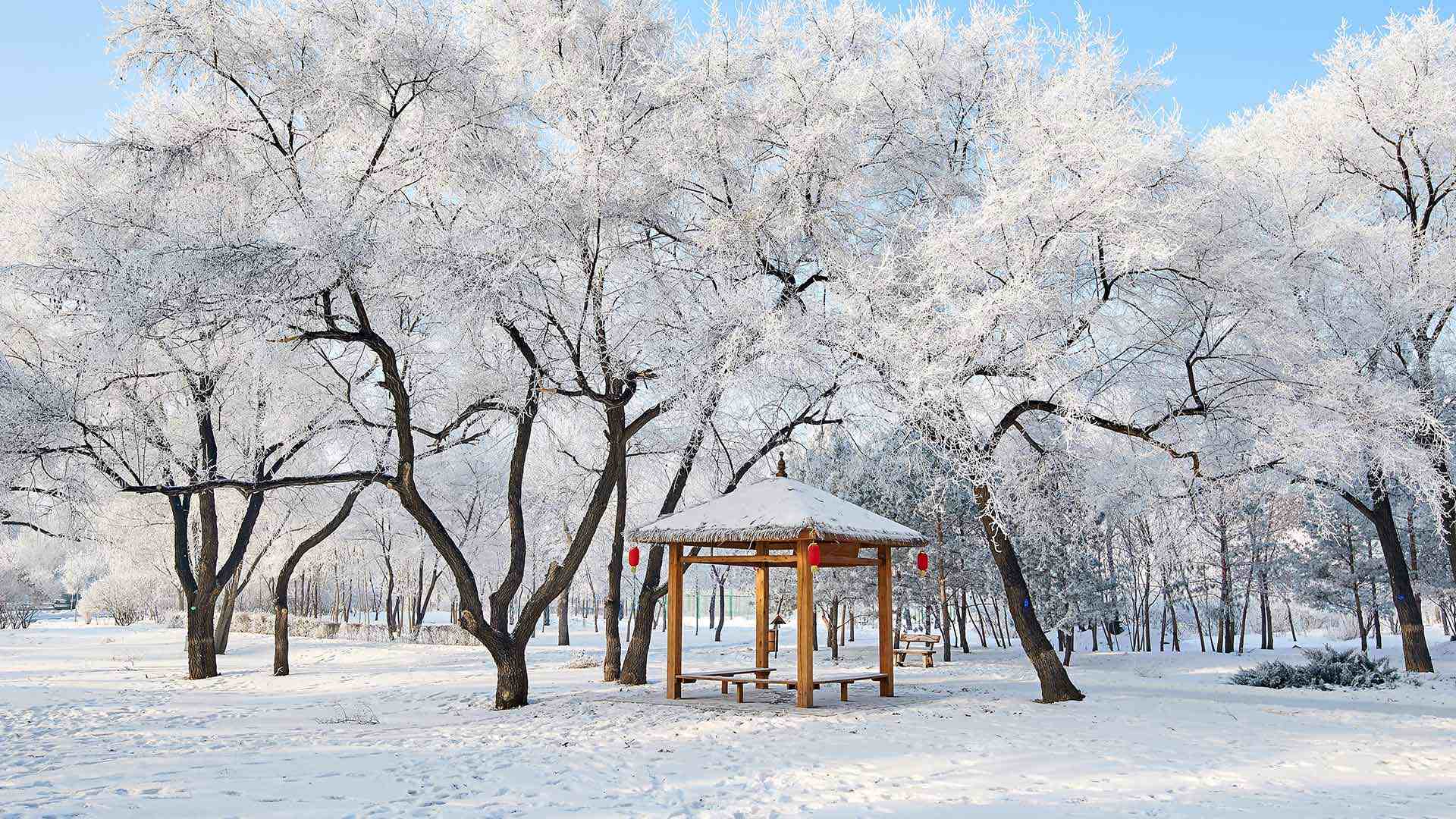 美丽的雾凇景色，大庆市，黑龙江省，中国 (© Dashu Xinganling/shutterstock) Bing Everyday Wallpaper 2025-12-21, ZX8kRi [Bing Everyday Wall Paper 2025-12-21] url = http://www.bing.com/th?id=OHR.WintersolsticeY25_ZH-CN6462419684_1920x1080.jpg