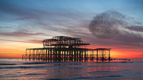 Starling murmuration over the ruins of Brighton's West Pier, England (© Philip Reeve/Photodisc/Getty Images) Bing Everyday Wallpaper 2025-12-25
/tmp/UploadBetaeDkwnK [Bing Everyday Wall Paper 2025-12-25] url = http://www.bing.com/th?id=OHR.StarlingBrighton2025_ROW5558323918_1920x1080.jpg

File Size (KB): 309.22 KB
Last Modified: December 25 2025 00:00:02
