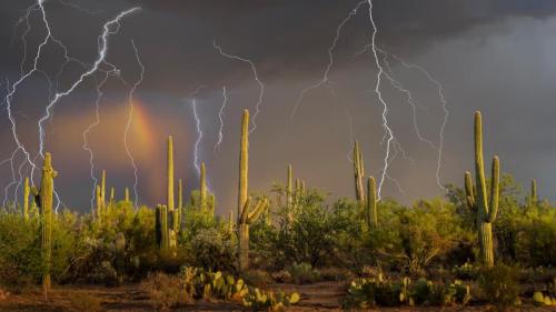 坦噶尼喀湖，非洲 (© BEST-BACKGROUNDS/NASA/Shutterstock) Bing Everyday Wallpaper 2026-03-23
/tmp/UploadBetasFtAmZ [Bing Everyday Wall Paper 2026-03-23] url = http://www.bing.com/th?id=OHR.SonoranStorm_ZH-CN0579792563_1920x1080.jpg

File Size (KB): 306.57 KB
Last Modified: March 23 2026 00:00:03
