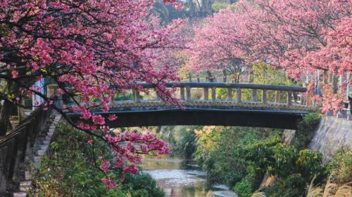 日本一早い桜、沖縄 (© @hapidayss/Getty Images) Bing Everyday Wallpaper 2026-03-27
/tmp/UploadBetaUSaLiy [Bing Everyday Wall Paper 2026-03-27] url = http://www.bing.com/th?id=OHR.SakuraDay2026_JA-JP6970025028_1920x1080.jpg

File Size (KB): 312.13 KB
Last Modified: March 27 2026 00:00:04
