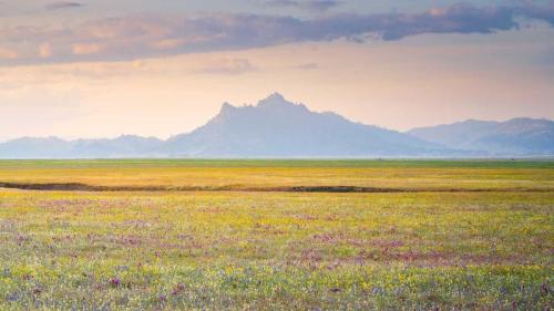 セントラル・バレー, 米国 カリフォルニア州 (© Jeff Lewis/Tandem Stills + Motion) Bing Everyday Wallpaper 2026-04-01
/tmp/UploadBetan0Y1OC [Bing Everyday Wall Paper 2026-04-01] url = http://www.bing.com/th?id=OHR.WildflowerValley_JA-JP7238318324_1920x1080.jpg

File Size (KB): 321.51 KB
Last Modified: April 01 2026 00:00:03
