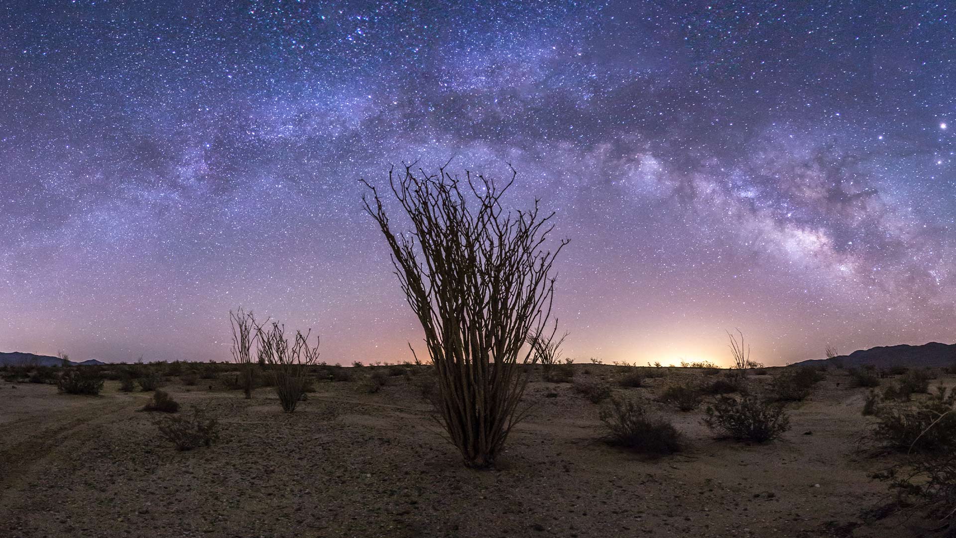 Milky Way over Anza-Borrego Desert State Park, California (© Kevin Key/Slworking)/Getty Images) Bing Everyday Wallpaper 2026-04-14, DsgPQg [Bing Everyday Wall Paper 2026-04-14] url = http://www.bing.com/th?id=OHR.BorregoStars_EN-US8252825773_1920x1080.jpg