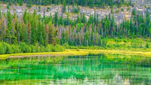 ジャスパー国立公園, カナダ (© Don White/Getty Images) Bing Everyday Wallpaper 2026-05-01
/tmp/UploadBeta5Cg95i [Bing Everyday Wall Paper 2026-05-01] url = http://www.bing.com/th?id=OHR.GreenJasper_JA-JP1765702331_1920x1080.jpg

File Size (KB): 320.15 KB
Last Modified: May 01 2026 00:00:02
