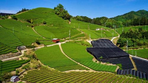 和束の茶畑, 京都府 和束町 (© Tuul and Bruno Morandi/Alamy) Bing Everyday Wallpaper 2026-05-02
/tmp/UploadBeta17JThQ [Bing Everyday Wall Paper 2026-05-02] url = http://www.bing.com/th?id=OHR.HachijyuHachiya2026_JA-JP2065177671_1920x1080.jpg

File Size (KB): 314.31 KB
Last Modified: May 02 2026 00:00:03
