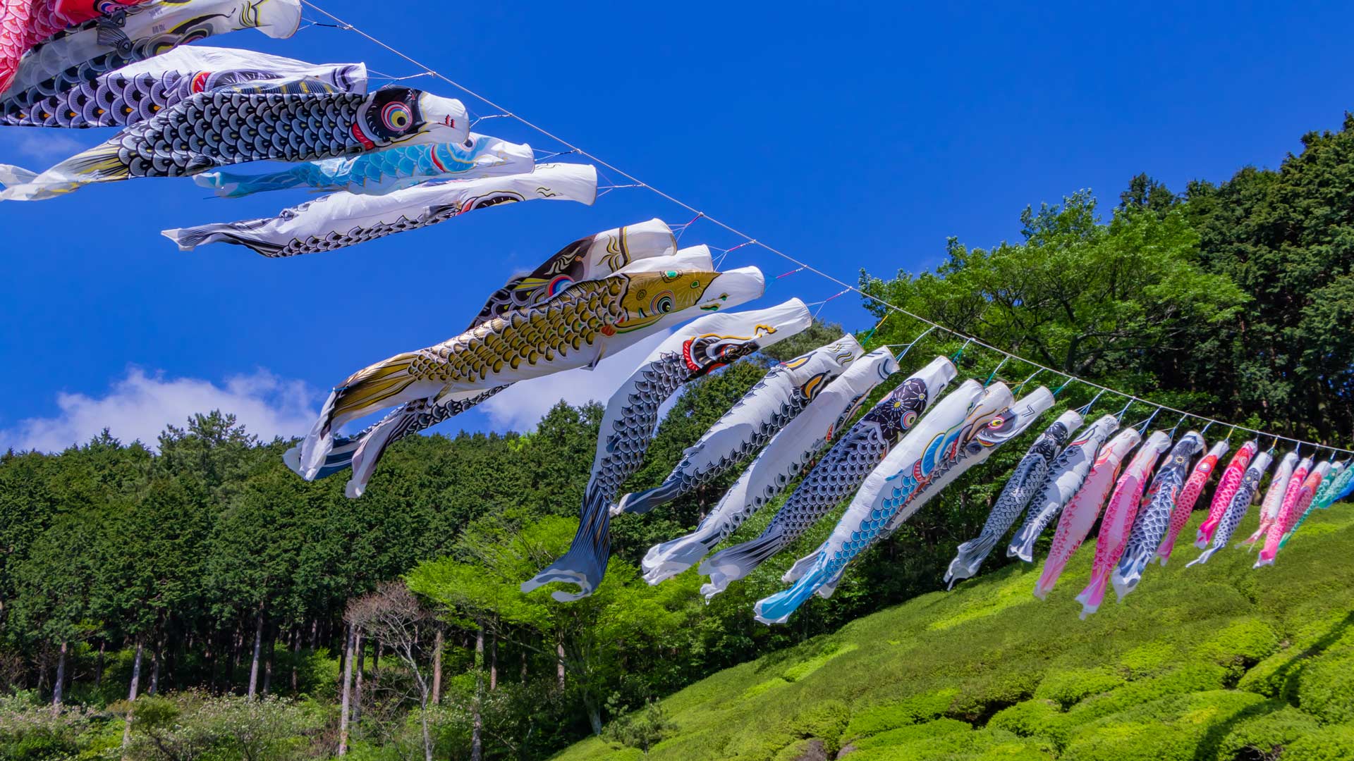 姫の沢公園, 静岡県 熱海市 (© SKY Stock/Shutterstock) Bing Everyday Wallpaper 2026-05-05, xMIdzE [Bing Everyday Wall Paper 2026-05-05] url = http://www.bing.com/th?id=OHR.ChildrensDay2026_JA-JP4339103590_1920x1080.jpg