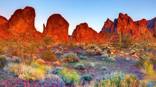 科法国家野生动物保护区，亚利桑那州，美国 (© Denis Tangney Jr/Getty Images) Bing Everyday Wallpaper 2026-05-07
/tmp/UploadBetaYGzQ9J [Bing Everyday Wall Paper 2026-05-07] url = http://www.bing.com/th?id=OHR.Kofa_ZH-CN0584573563_1920x1080.jpg

File Size (KB): 291.67 KB
Last Modified: May 07 2026 00:00:02
