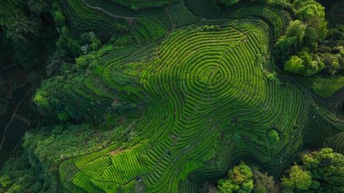 四川省的茶梯田, 中国 (© lzf/Shutterstock) Bing Everyday Wallpaper 2026-05-21
/tmp/UploadBetaqGU5Ap [Bing Everyday Wall Paper 2026-05-21] url = http://www.bing.com/th?id=OHR.SichuanTea_ZH-CN6703437873_1920x1080.jpg

File Size (KB): 326.99 KB
Last Modified: May 21 2026 00:00:02
