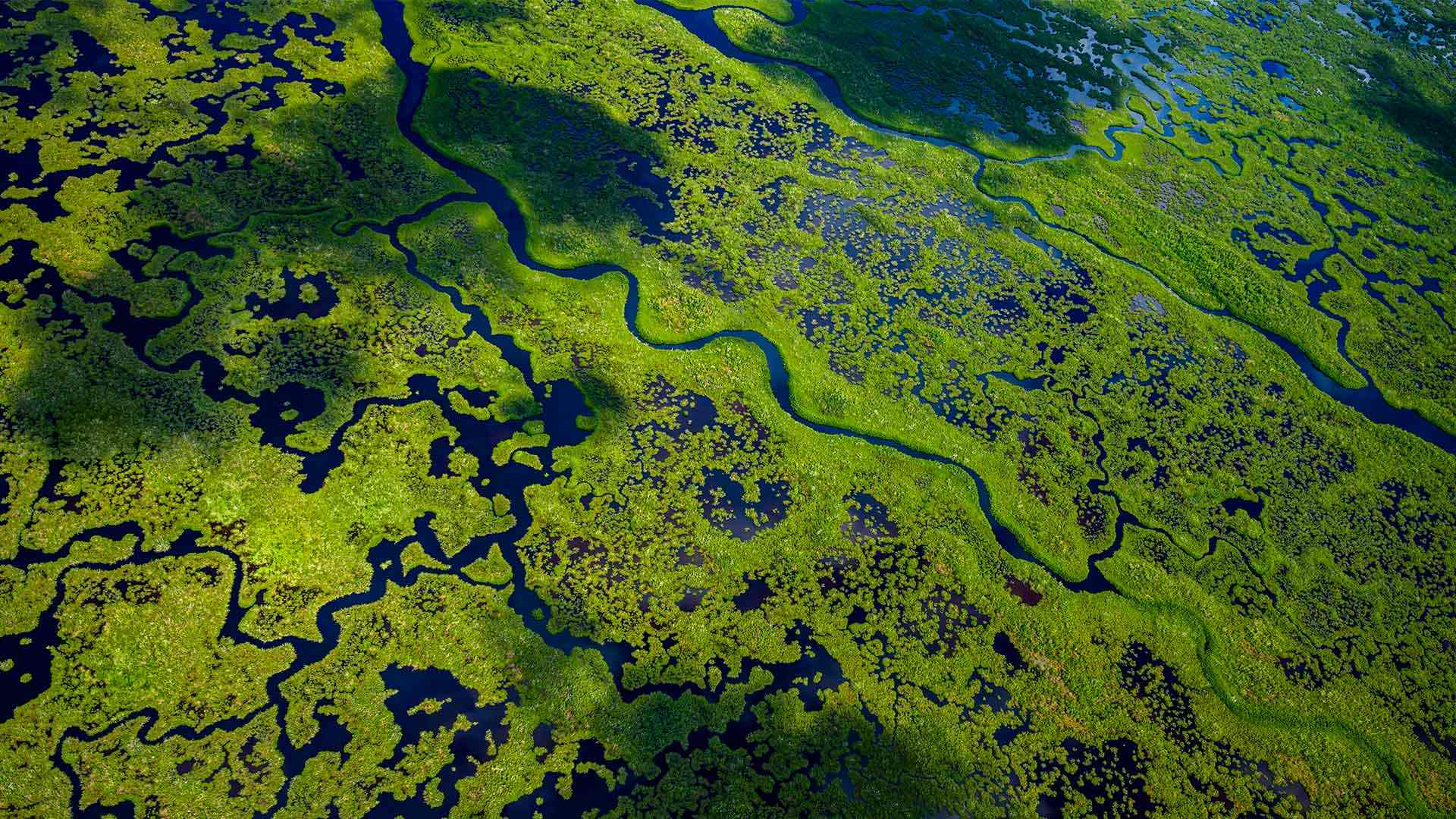 大沼泽地国家公园航拍景观，佛罗里达州，美国 (© Tetra Images/Getty Images) Bing Everyday Wallpaper 2026-05-31, bLB1xg [Bing Everyday Wall Paper 2026-05-31] url = http://www.bing.com/th?id=OHR.EvergladesWetlands_ZH-CN9515366484_1920x1080.jpg