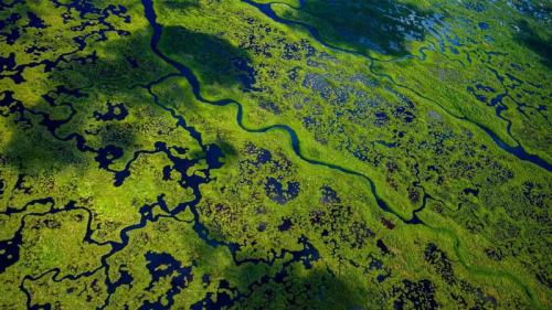 大沼泽地国家公园航拍景观，佛罗里达州，美国 (© Tetra Images/Getty Images) Bing Everyday Wallpaper 2026-05-31
/tmp/UploadBetabLB1xg [Bing Everyday Wall Paper 2026-05-31] url = http://www.bing.com/th?id=OHR.EvergladesWetlands_ZH-CN9515366484_1920x1080.jpg

File Size (KB): 305.39 KB
Last Modified: May 31 2026 00:00:02
