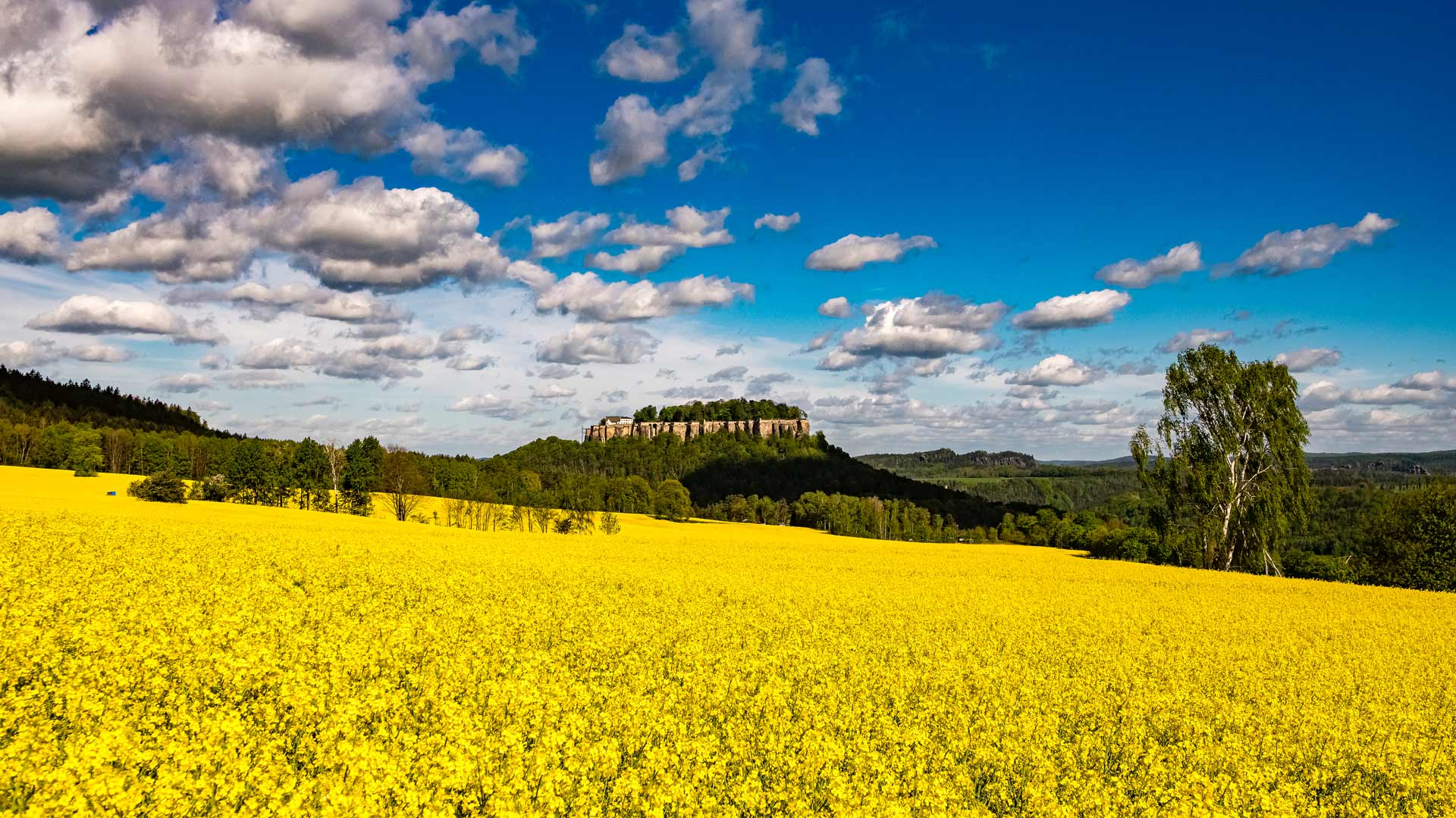Rapsfelder vor der Festung Königstein, Sächsische Schweiz, Sachsen (© Frank Bienewald/Getty Images) Bing Everyday Wallpaper 2026-05-31, zDFze7 [Bing Everyday Wall Paper 2026-05-31] url = http://www.bing.com/th?id=OHR.RapeseedField_DE-DE3303026116_1920x1080.jpg