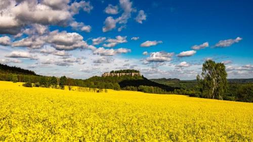 Rapsfelder vor der Festung Königstein, Sächsische Schweiz, Sachsen (© Frank Bienewald/Getty Images) Bing Everyday Wallpaper 2026-05-31
/tmp/UploadBetazDFze7 [Bing Everyday Wall Paper 2026-05-31] url = http://www.bing.com/th?id=OHR.RapeseedField_DE-DE3303026116_1920x1080.jpg

File Size (KB): 314.68 KB
Last Modified: May 31 2026 00:00:05
