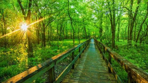 纳奇兹小径公园大道, 图珀洛, 密西西比州, 美国 (© The best photo is earned/Getty Images Plus) Bing Everyday Wallpaper 2026-06-06
/tmp/UploadBetasRFze9 [Bing Everyday Wall Paper 2026-06-06] url = http://www.bing.com/th?id=OHR.HikingNatchez_ZH-CN2495512699_1920x1080.jpg

File Size (KB): 316.57 KB
Last Modified: June 06 2026 00:00:01
