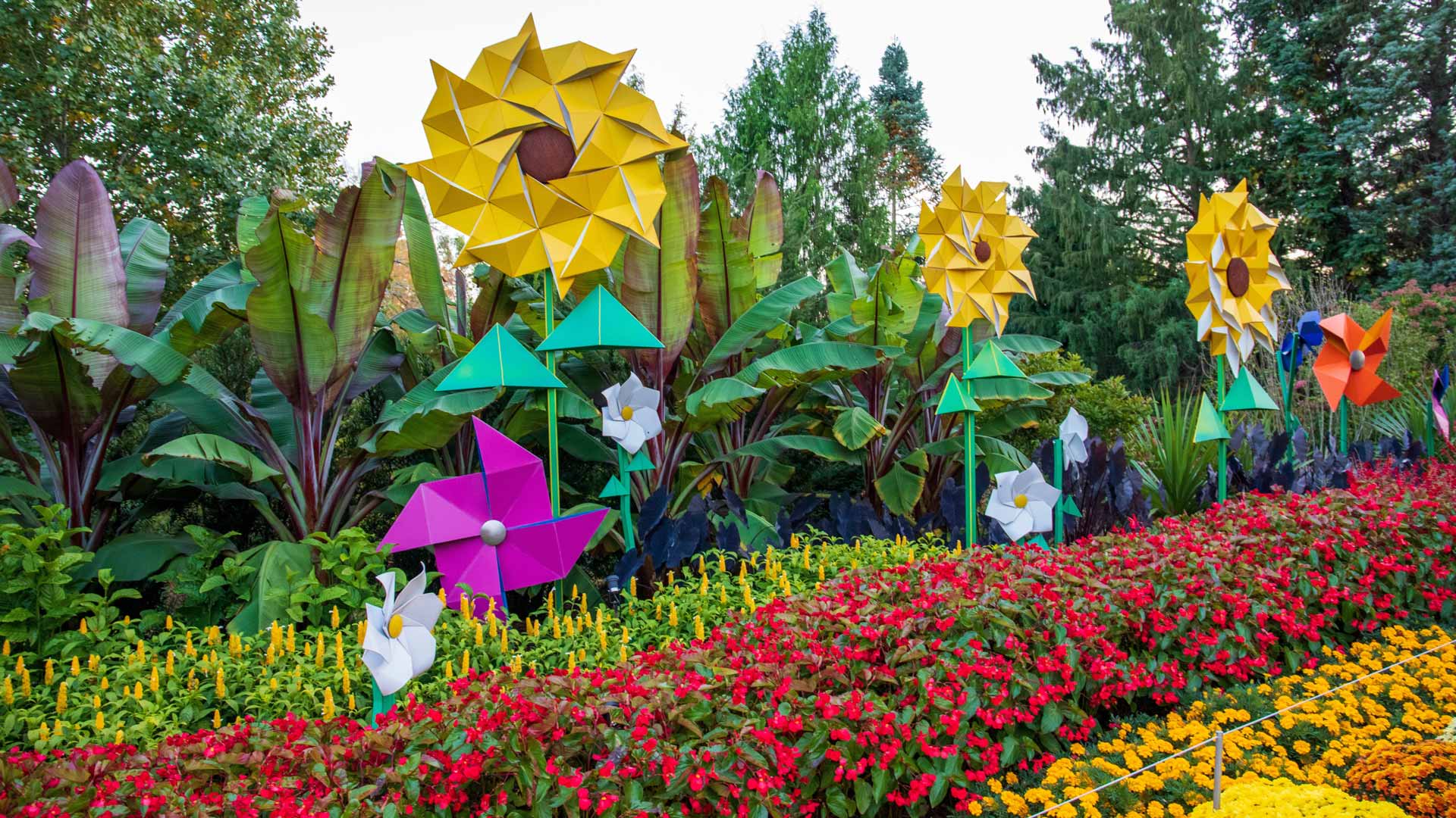 Atlanta Botanical Garden, Atlanta, Georgia (© Marcus E Jones/Shutterstock) Bing Everyday Wallpaper 2026-06-08, kakoH7 [Bing Everyday Wall Paper 2026-06-08] url = http://www.bing.com/th?id=OHR.GardenAtlanta_EN-US2319128074_1920x1080.jpg