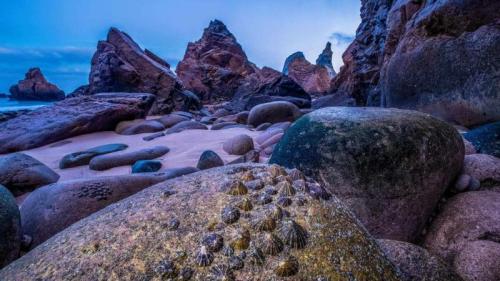 退潮时裸露在乌尔萨海滩海岸上的帽贝, 葡萄牙 (© Theo Bosboom/Nature Picture Library) Bing Everyday Wallpaper 2026-06-11
/tmp/UploadBetamlQp89 [Bing Everyday Wall Paper 2026-06-11] url = http://www.bing.com/th?id=OHR.Limpets_ZH-CN4991771513_1920x1080.jpg

File Size (KB): 302.32 KB
Last Modified: June 11 2026 00:00:02
