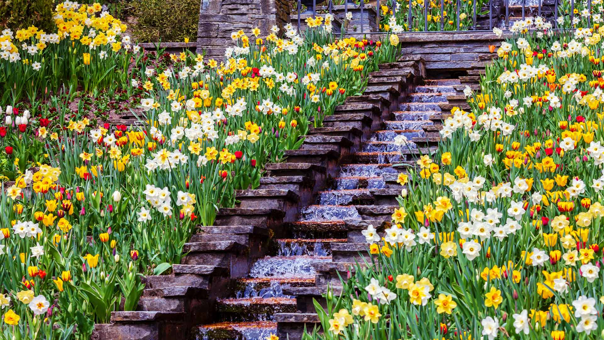Blumengarten auf der Insel Mainau im Bodensee, Baden-Württemberg (© toriru/Shutterstock) Bing Everyday Wallpaper 2026-06-14, cJW87b [Bing Everyday Wall Paper 2026-06-14] url = http://www.bing.com/th?id=OHR.MainauFlowers_DE-DE9640558313_1920x1080.jpg