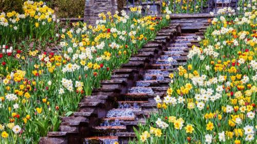 Blumengarten auf der Insel Mainau im Bodensee, Baden-Württemberg (© toriru/Shutterstock) Bing Everyday Wallpaper 2026-06-14
/tmp/UploadBetacJW87b [Bing Everyday Wall Paper 2026-06-14] url = http://www.bing.com/th?id=OHR.MainauFlowers_DE-DE9640558313_1920x1080.jpg

File Size (KB): 318.98 KB
Last Modified: June 14 2026 00:00:06
