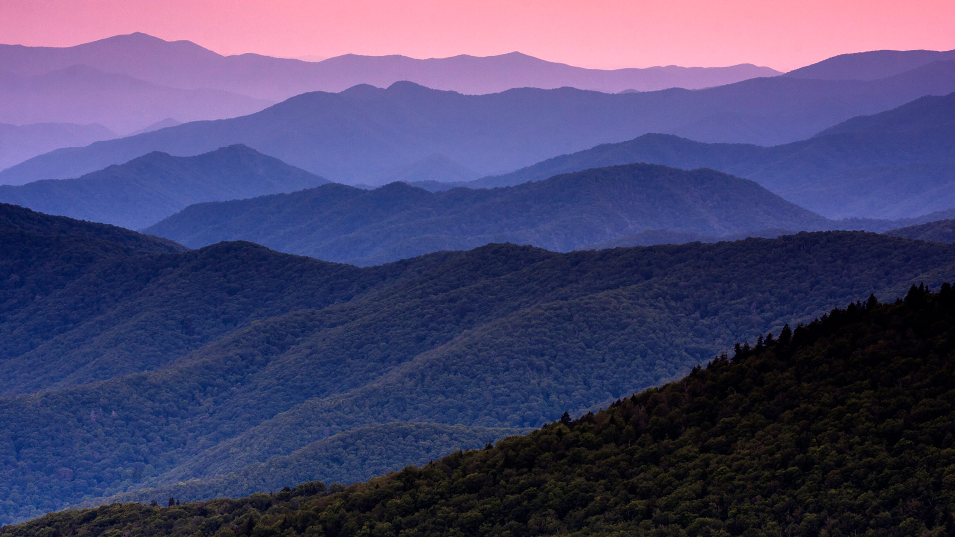 大烟山国家公园，田纳西州，美国 (© Mint Images/Getty Images) Bing Everyday Wallpaper 2026-06-15, 7BBVzu [Bing Everyday Wall Paper 2026-06-15] url = http://www.bing.com/th?id=OHR.ParkEstd_ZH-CN3419035151_1920x1080.jpg