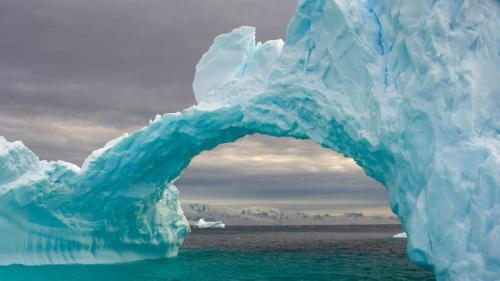 漂浮在南极半岛西部海域的拱形冰山, 南大洋 (© Steven Kazlowski/Nature Picture Library) Bing Everyday Wallpaper 2026-06-20
/tmp/UploadBetasQWObH [Bing Everyday Wall Paper 2026-06-20] url = http://www.bing.com/th?id=OHR.ArchedIceberg_ZH-CN2698040371_1920x1080.jpg

File Size (KB): 321.65 KB
Last Modified: June 20 2026 00:00:03
