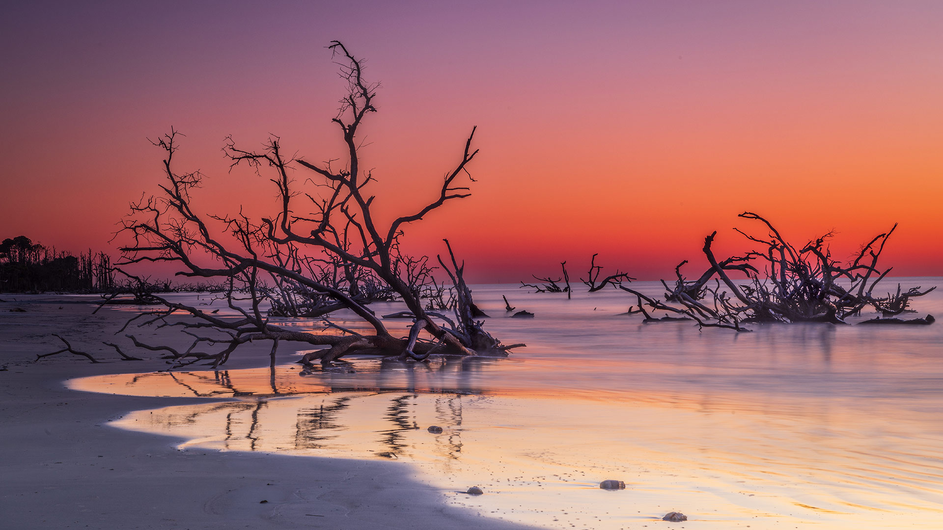 博尼亚德海滩上的漂流木, 亨廷岛, 南卡罗来纳州, 美国 (© Frances/Adobe Stock) Bing Everyday Wallpaper 2026-06-27, 0jlaDs [Bing Everyday Wall Paper 2026-06-27] url = http://www.bing.com/th?id=OHR.BoneyardBeach_ZH-CN5540590570_1920x1080.jpg